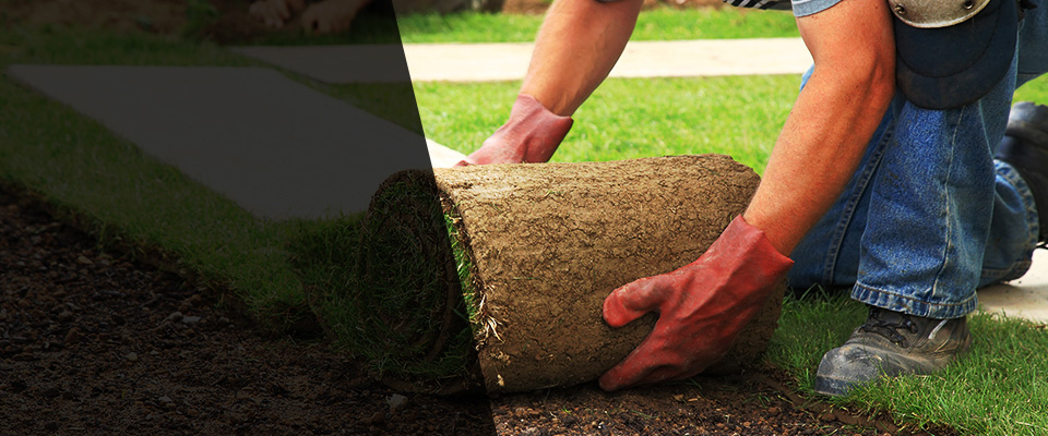 Arkansaw Landscapers